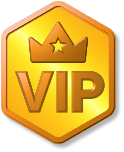 VIP 12 Months